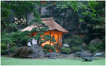 第1局 4月14日(土) 名古屋城(愛知県)